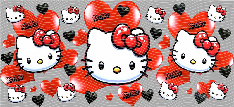 16oz Sanrio-K 102